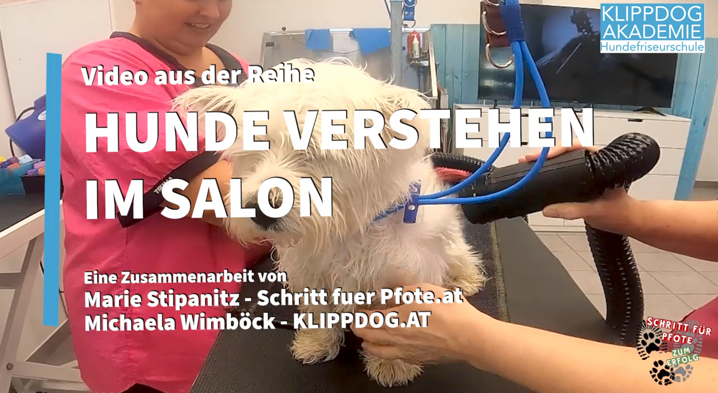 Lehrgang: Kooperationssignale im Hundesalon