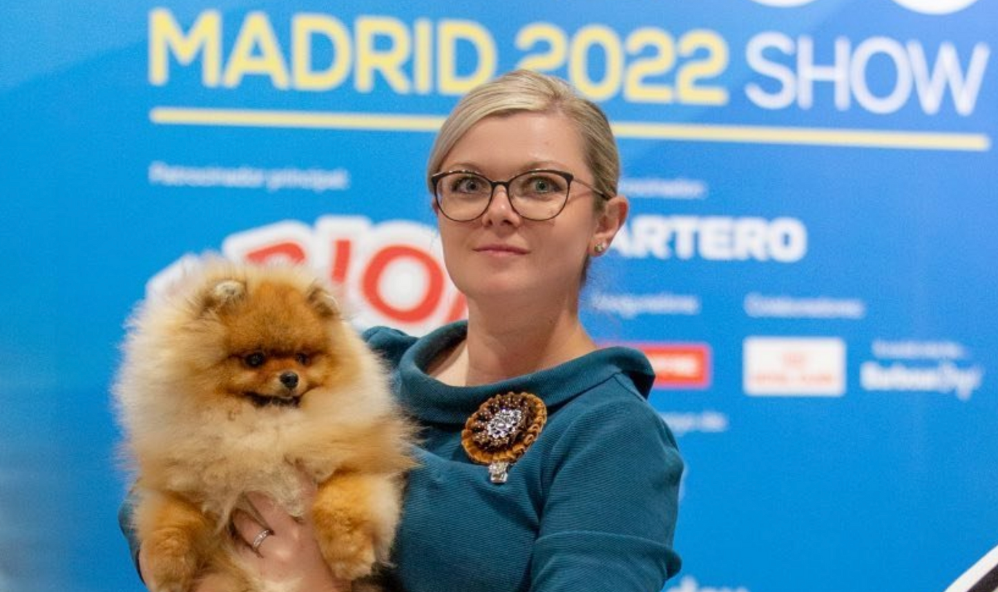 Pomeranian - Pflege und Schnitt