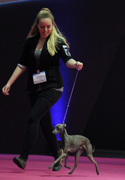 Seminar Creative Grooming mit Lisa Turczyn