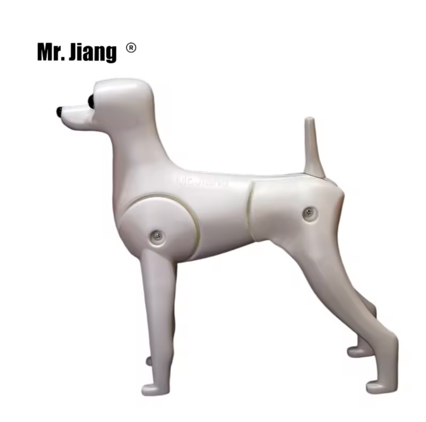 Teddy Ganzkörpermodell
