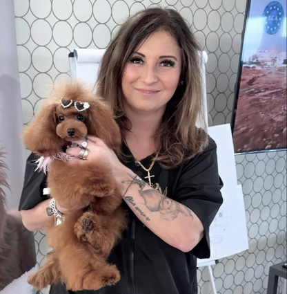 EXKLUSIVES MASTER GROOMER SEMINAR MIT BEATRIX MEGYESI am 10.10.2026