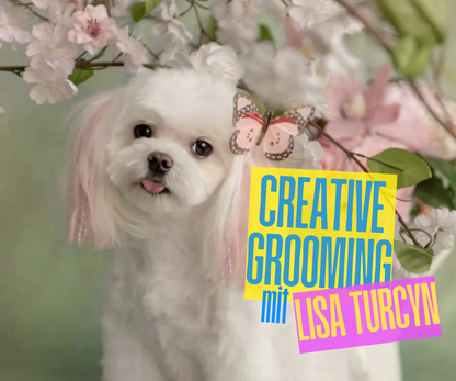Seminar Creative Grooming mit Lisa Turczyn