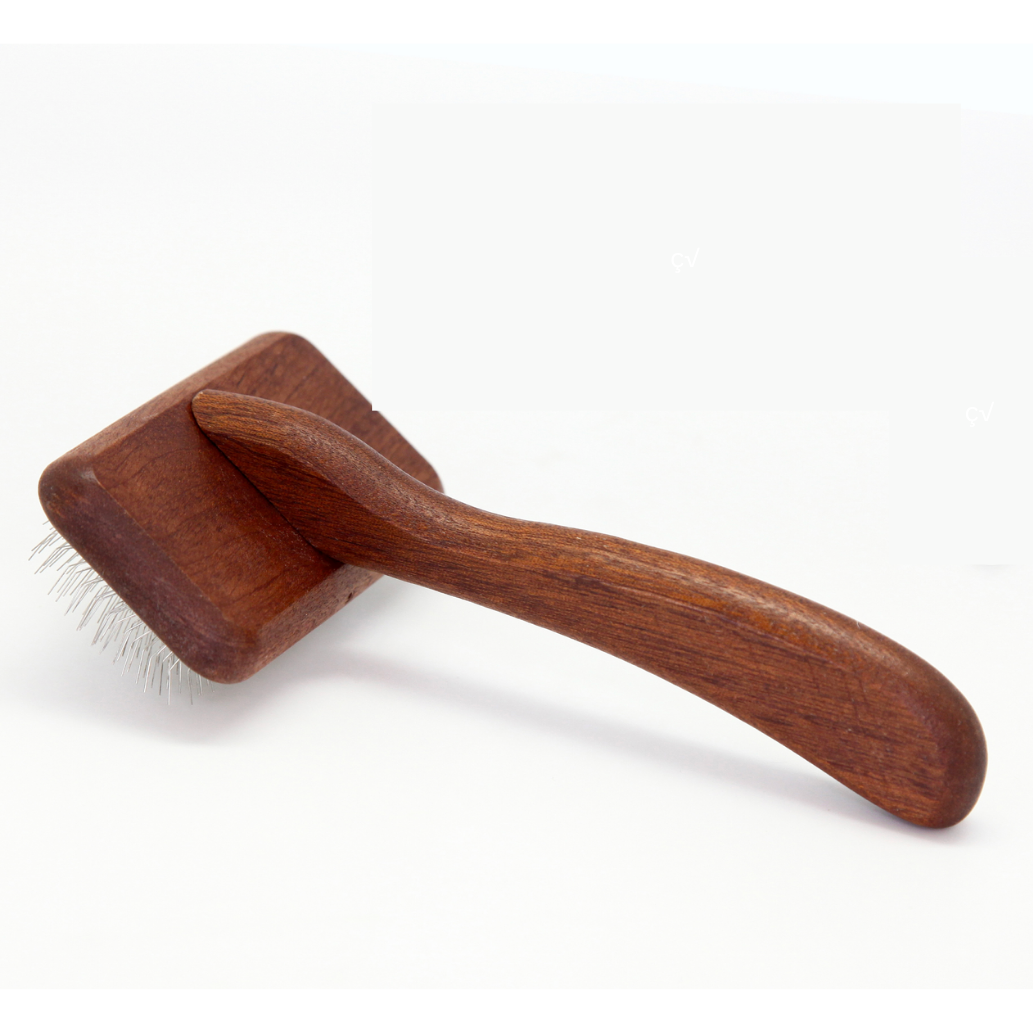 Holzbürste