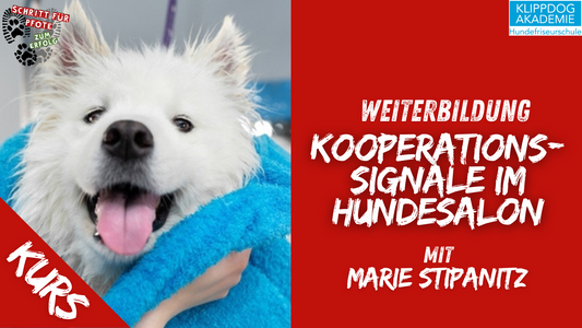 Lehrgang: Hunde verstehen im Salon