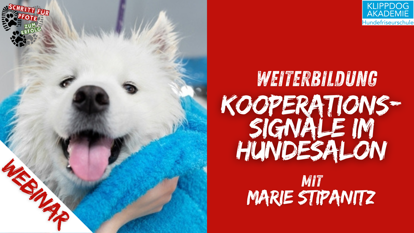 Webinarpaket: Kooperationssignale im Hundesalon