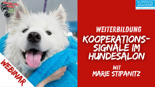 Webinarpaket: Kooperationssignale im Hundesalon