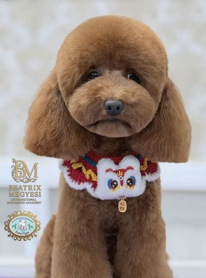 EXKLUSIVES MASTER GROOMER SEMINAR MIT BEATRIX MEGYESI am 10.10.2026
